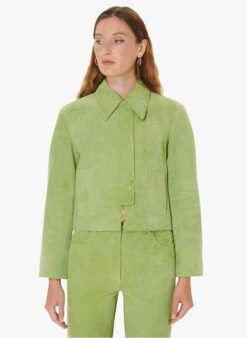 Tara Jarmon VALENTE - Veste Col Classique En Cuir | Kaki